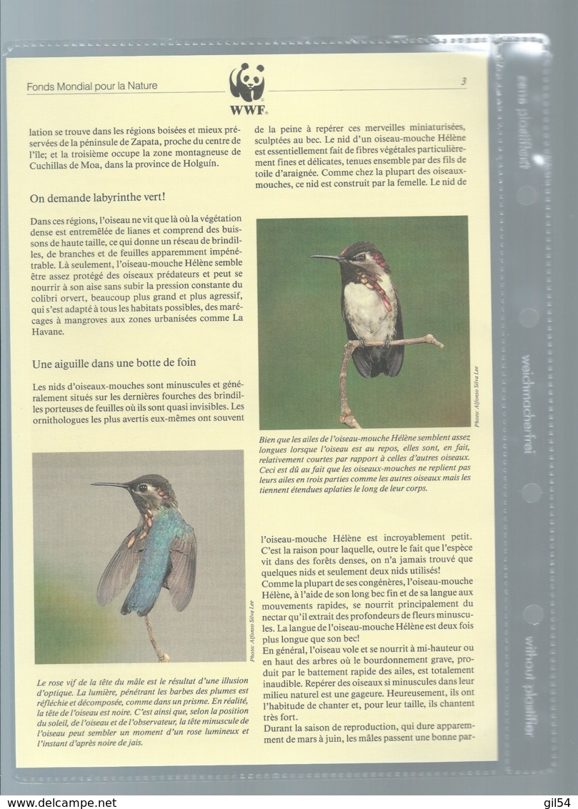 Cuba - 1992 - N°Yv. 3224 à 3227 - Oiseau-mouche / WWF Ensemble Complet 10 Scans   -  Car 121 - Verzamelingen & Reeksen