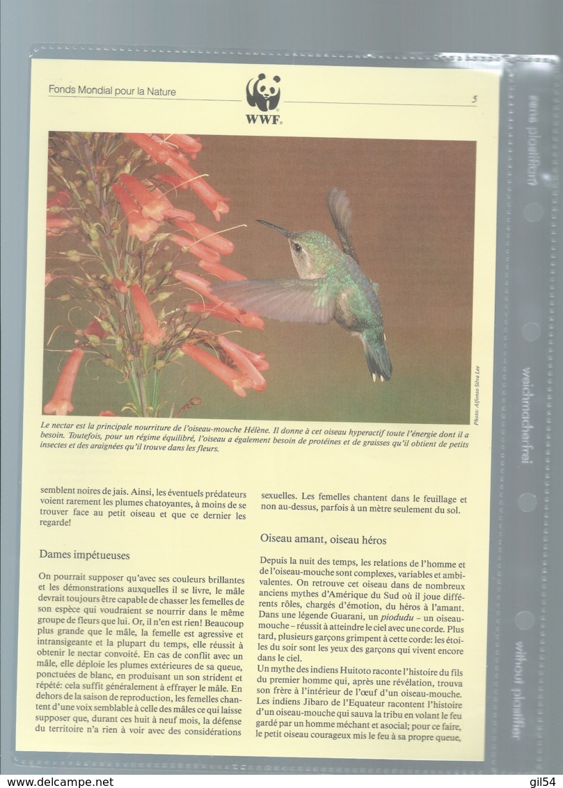 Cuba - 1992 - N°Yv. 3224 à 3227 - Oiseau-mouche / WWF Ensemble Complet 10 Scans   -  Car 121 - Verzamelingen & Reeksen