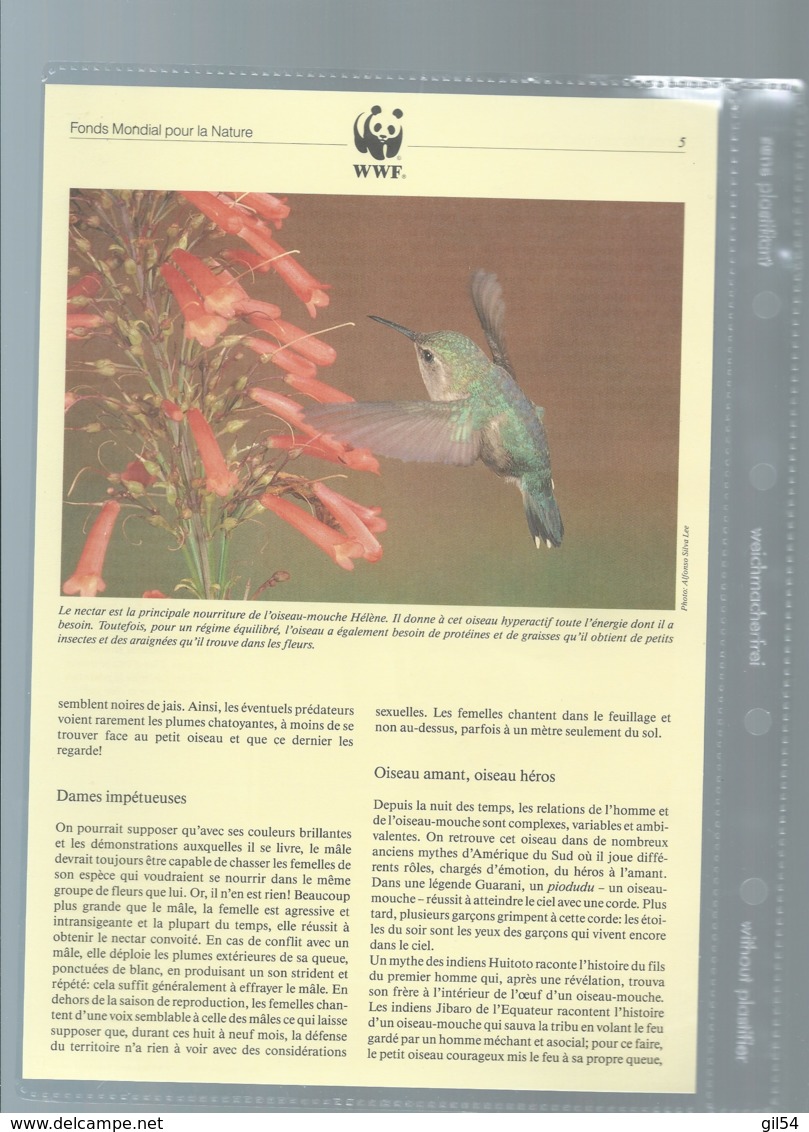 Cuba - 1992 - N°Yv. 3224 à 3227 - Oiseau-mouche / WWF Ensemble Complet 10 Scans   -  Car 121 - Colecciones & Series