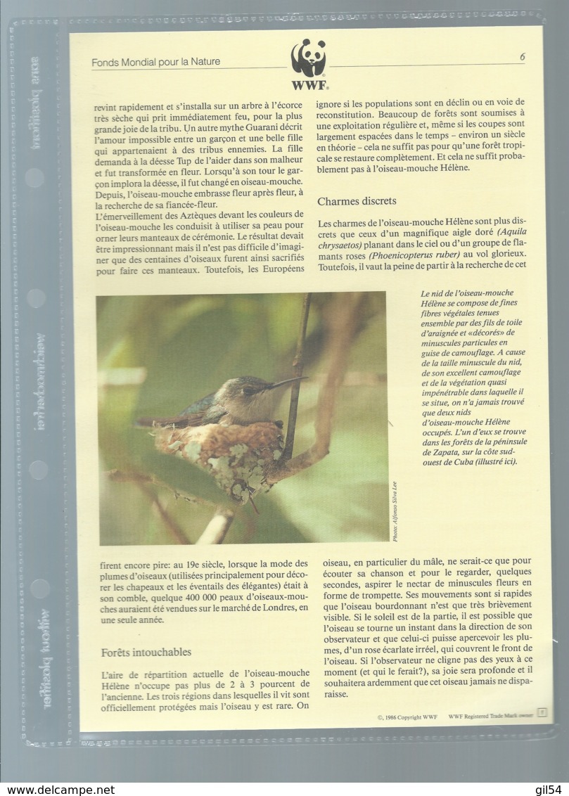 Cuba - 1992 - n°Yv. 3224 à 3227 - Oiseau-mouche / WWF ensemble complet 10 scans   -  car 121