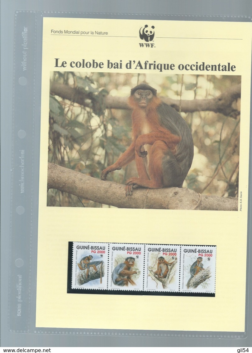 WWF 1992 GUINEA-BISSAU / GUINEE BISSAU - Mi. 1185-88**  Singe Ensemble Complet 10 Scans   -  Car 122 - Collections, Lots & Séries