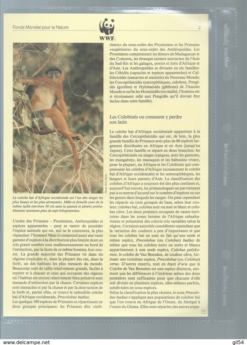 WWF 1992 GUINEA-BISSAU / GUINEE BISSAU - Mi. 1185-88**  Singe Ensemble Complet 10 Scans   -  Car 122 - Collections, Lots & Séries