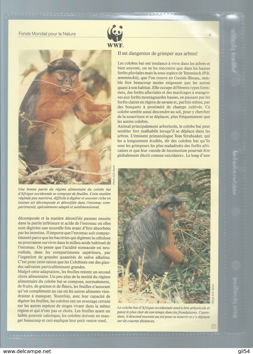 WWF 1992 GUINEA-BISSAU / GUINEE BISSAU - Mi. 1185-88**  Singe Ensemble Complet 10 Scans   -  Car 122 - Lots & Serien