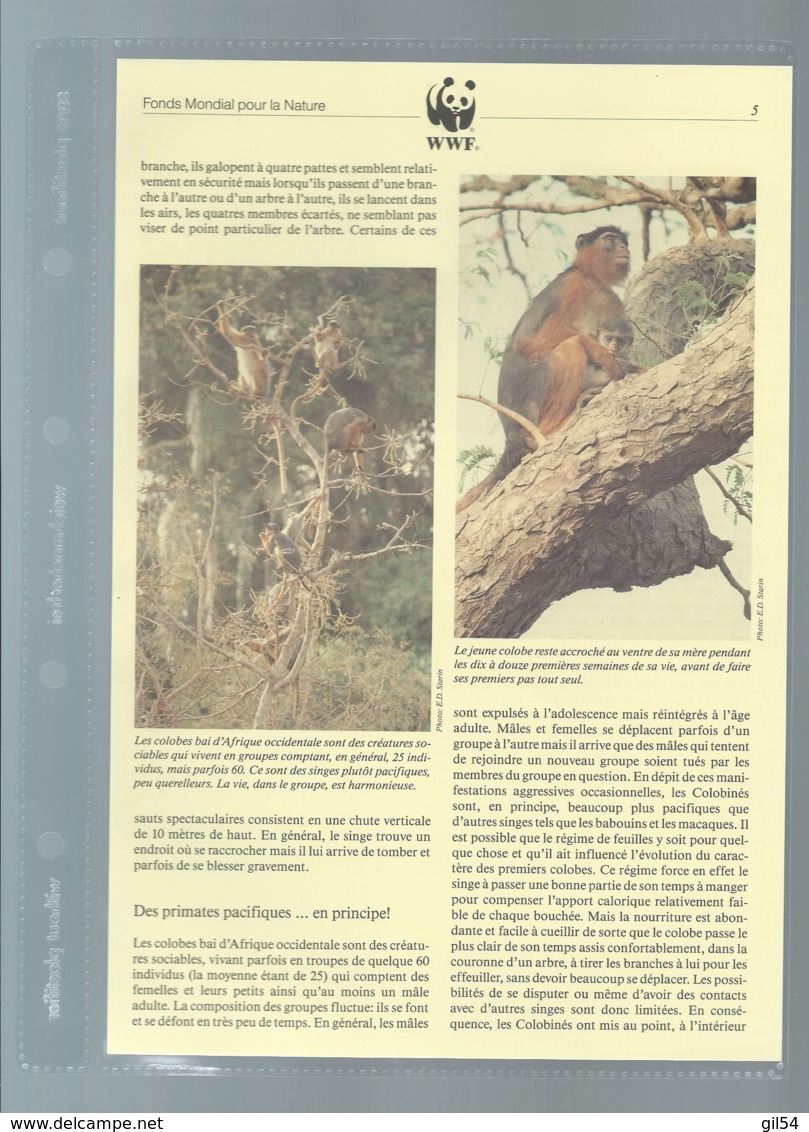 WWF 1992 GUINEA-BISSAU / GUINEE BISSAU - Mi. 1185-88**  Singe Ensemble Complet 10 Scans   -  Car 122 - Colecciones & Series
