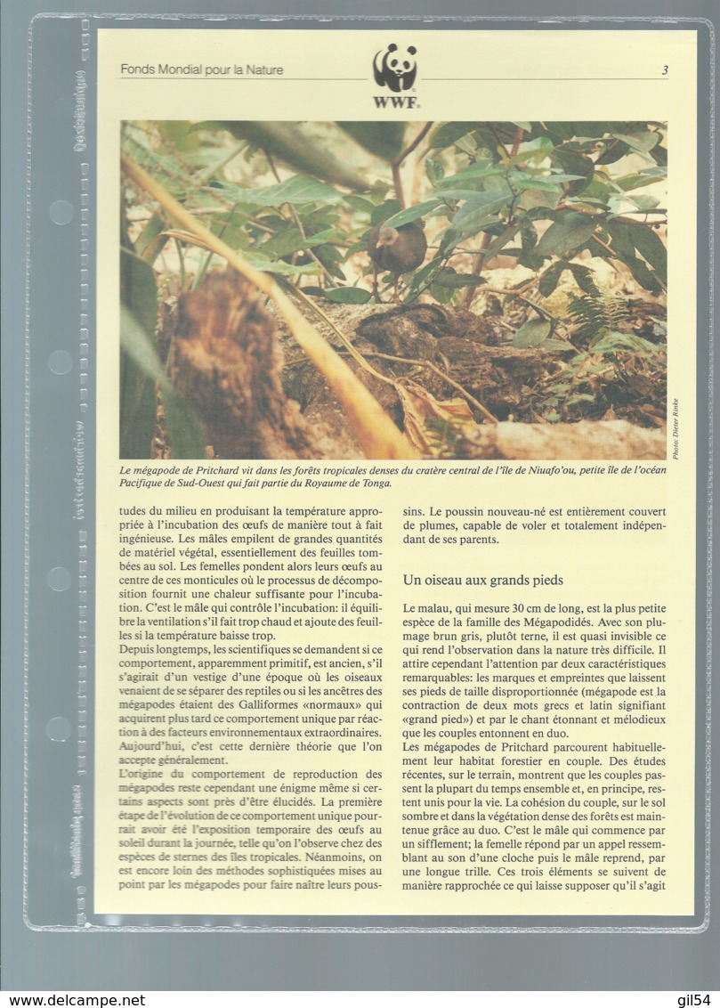 WWF 1992 Niuafoʻou  - Le Megapode De Pritchard  Ensemble Complet 10 Scans   -  Car 123 - Collections, Lots & Séries