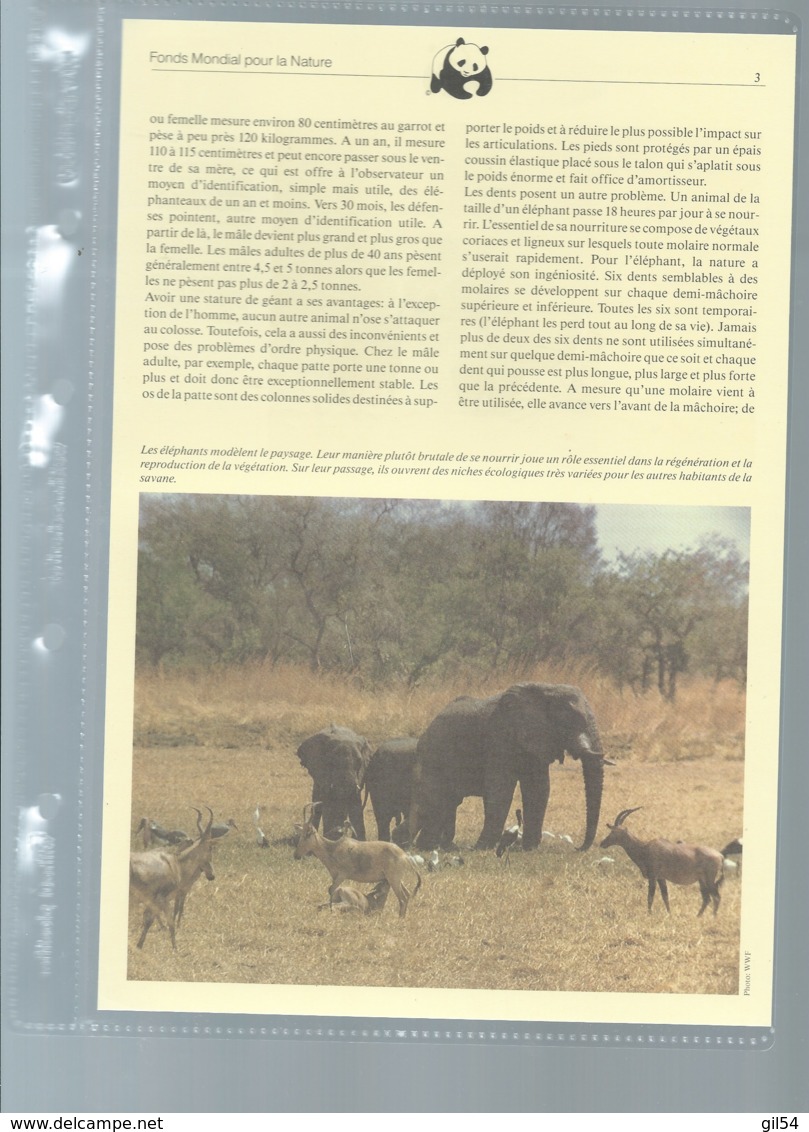 Uganda 1983 WWF - African Elephant Animal Wild Life Fauna Sc 371-774  Ensemble Complet 10 Scans   -  Car 124 - Lots & Serien