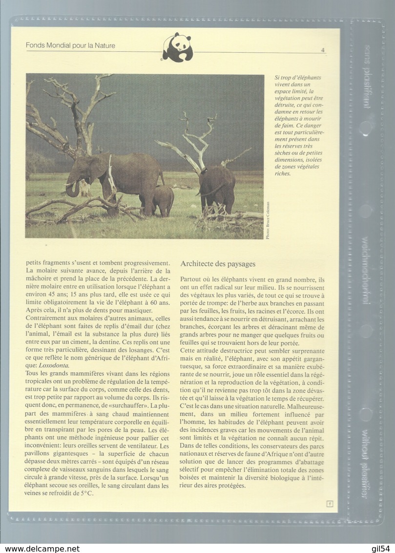 Uganda 1983 WWF - African Elephant Animal Wild Life Fauna Sc 371-774  Ensemble Complet 10 Scans   -  Car 124 - Verzamelingen & Reeksen