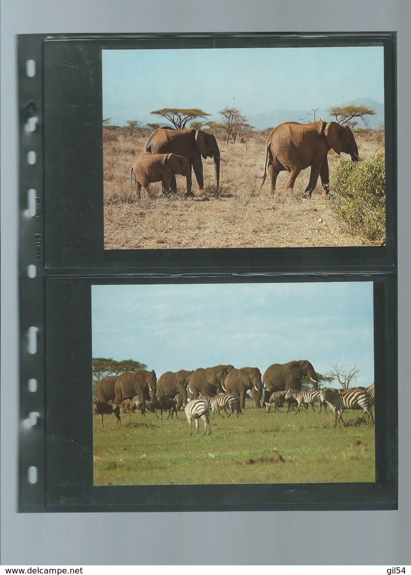 Uganda 1983 WWF - African Elephant Animal Wild Life Fauna Sc 371-774  ensemble complet 10 scans   -  car 124