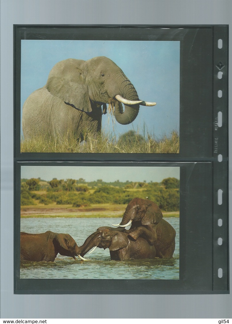 Uganda 1983 WWF - African Elephant Animal Wild Life Fauna Sc 371-774  ensemble complet 10 scans   -  car 124