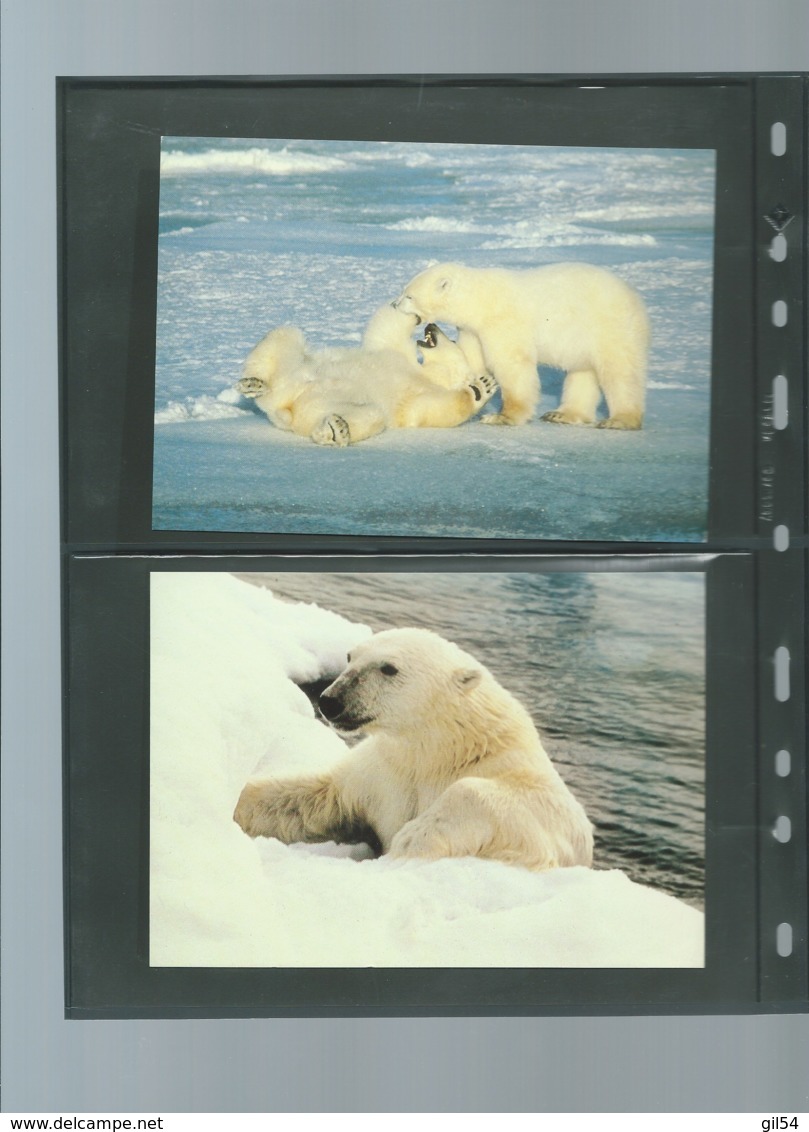 Russie - Faune WWF - L'OURS BLANC  , Y&T 5391 à 5394    ensemble complet 10 scans   -  car 125