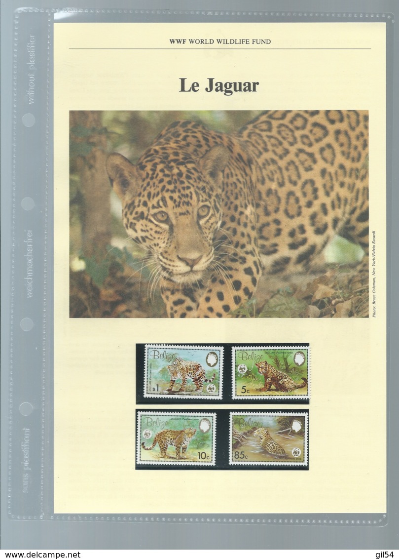 Belize 1983; WWF WildLife Fauna Animals Jaguar,     Ensemble Complet 10 Scans   -  Car 126 - Lots & Serien