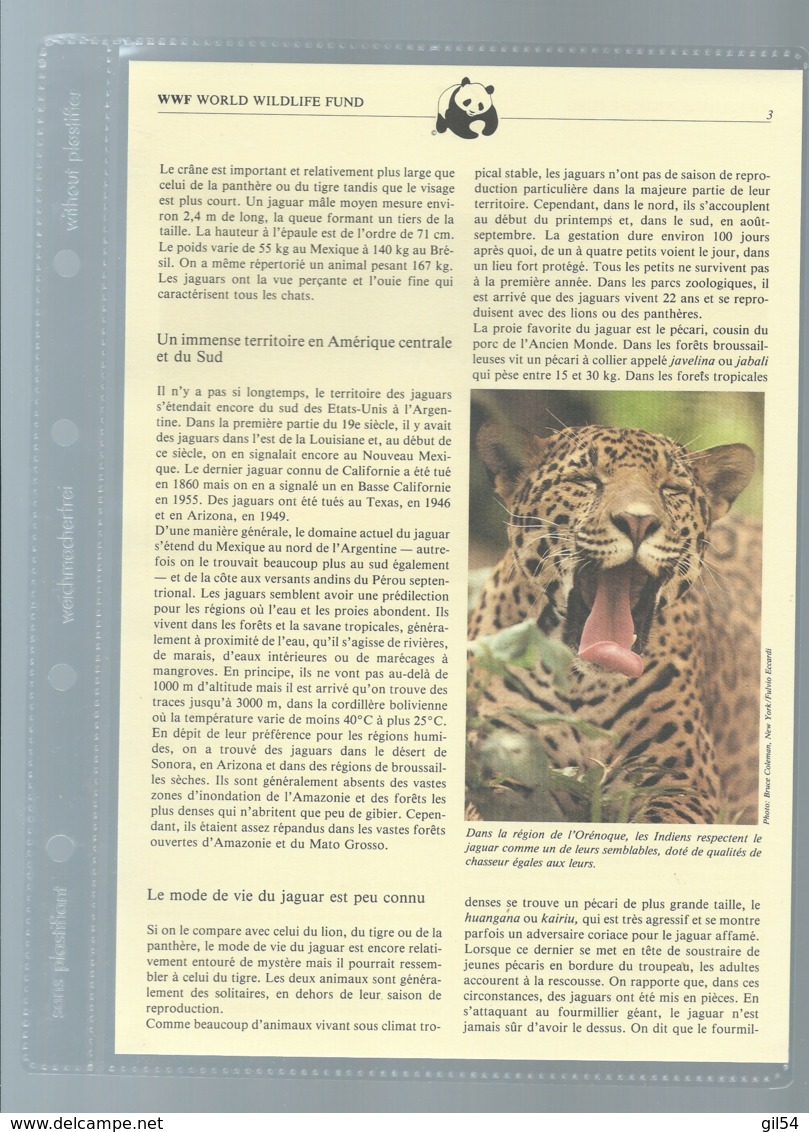 Belize 1983; WWF WildLife Fauna Animals Jaguar,     Ensemble Complet 10 Scans   -  Car 126 - Collections, Lots & Séries