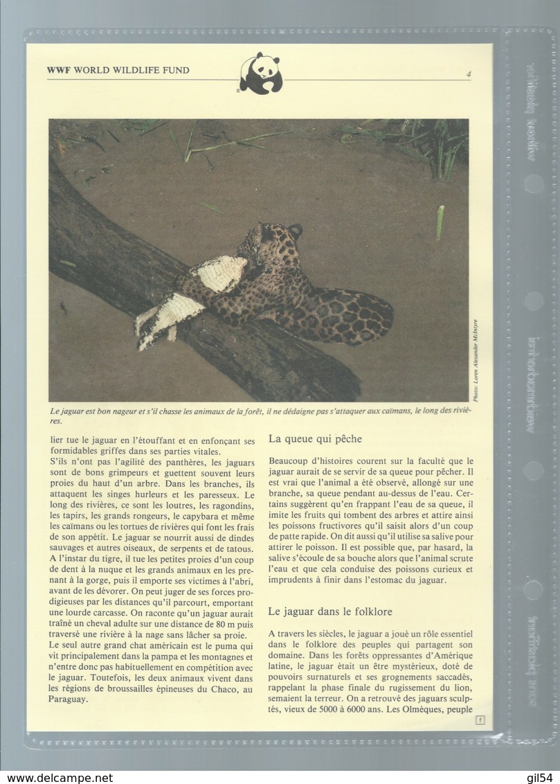 Belize 1983; WWF WildLife Fauna Animals Jaguar,     Ensemble Complet 10 Scans   -  Car 126 - Colecciones & Series