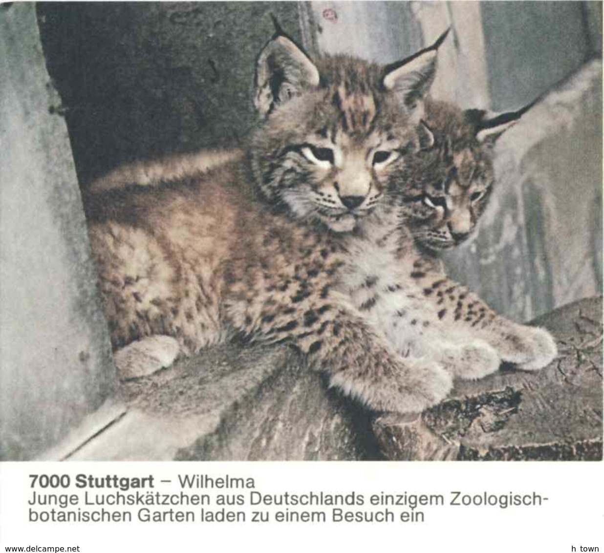 7219  Lynx: Entier (c.p.) D'Allemagne, 1985 - Lynx Stationery Postcard From Germany, Wilhelma Zoo Stuttgart - Felini
