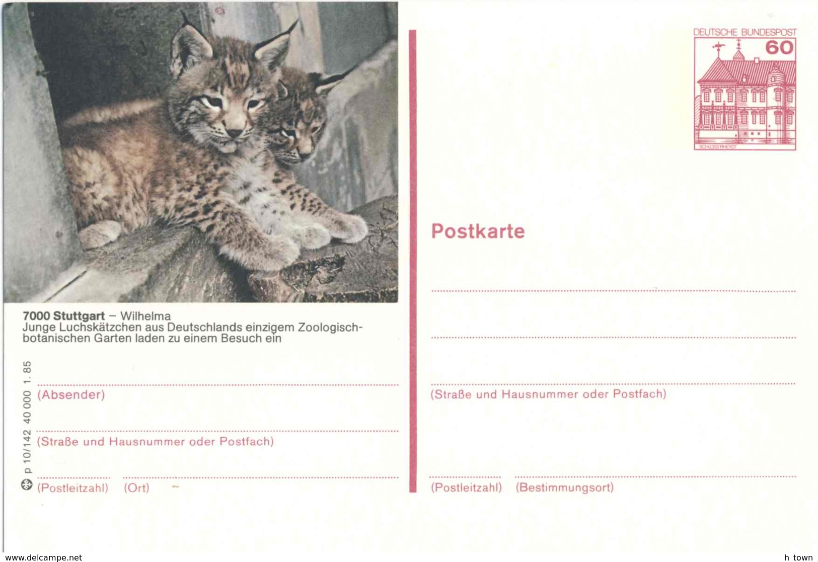 7219  Lynx: Entier (c.p.) D'Allemagne, 1985 - Lynx Stationery Postcard From Germany, Wilhelma Zoo Stuttgart - Felini