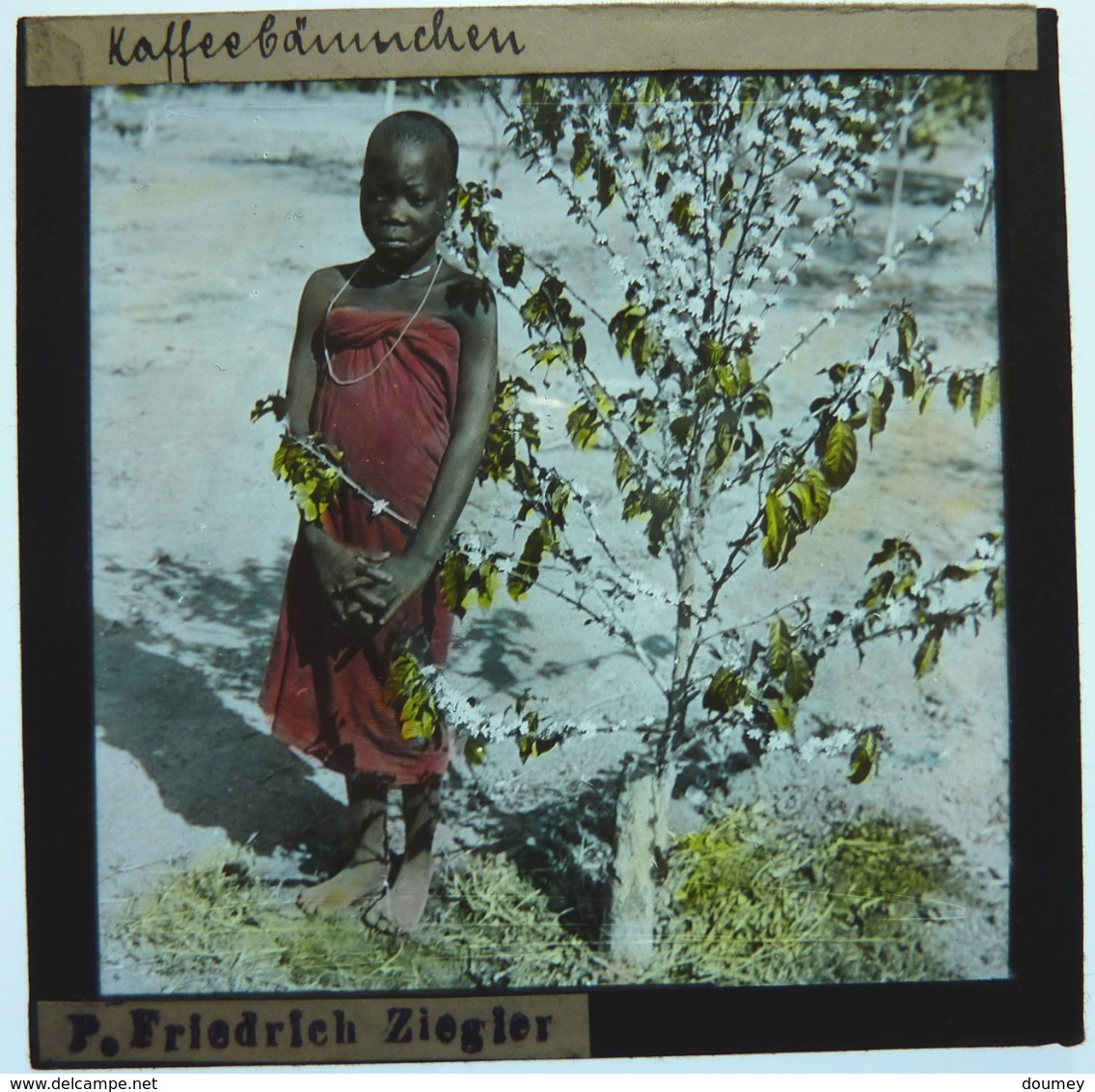 MISSIONNAIRE EN AFRIQUE ÉQUATORIALE - Glass Slides