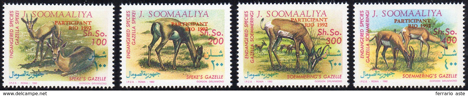 SOMALIA 1992 - Gazzelle, Soprastampati "Partecipant Rio 1992" (CEI 405A/D, € 1.500), Gomma Integra, ... - Otros & Sin Clasificación