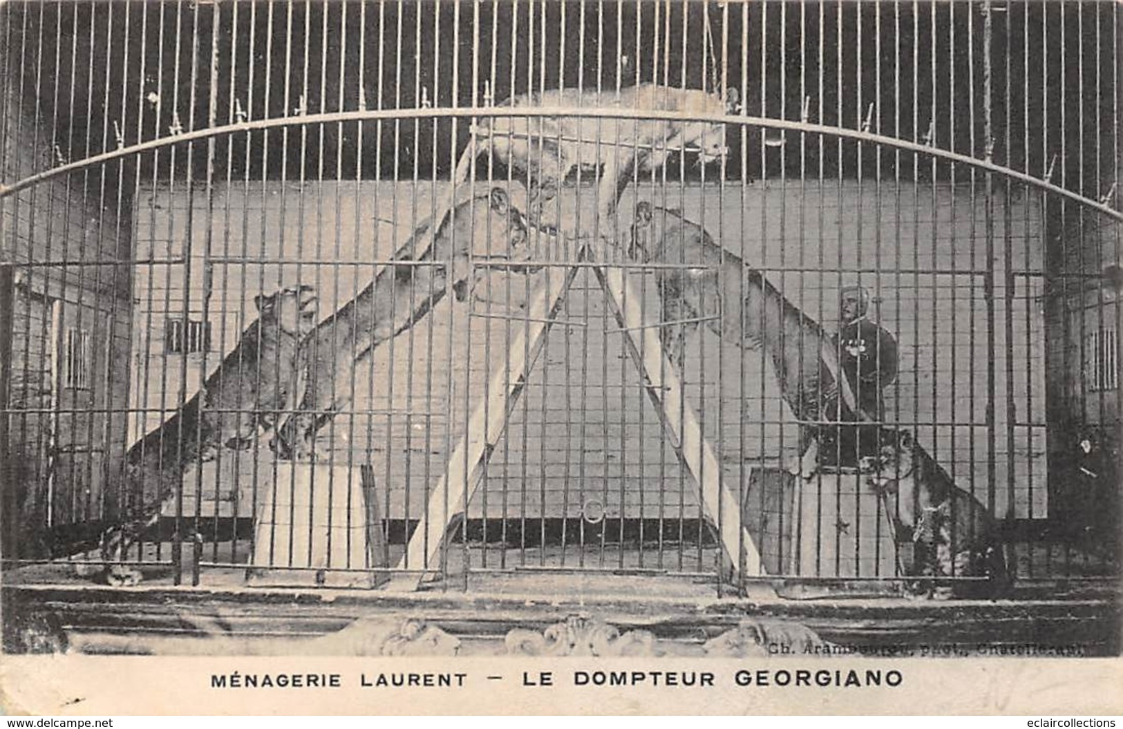 Thème:     Cirque.     Ménagerie Laurent Le Dompteur Georgiano Et Ses Lionnes       (Voir Scan) - Zirkus