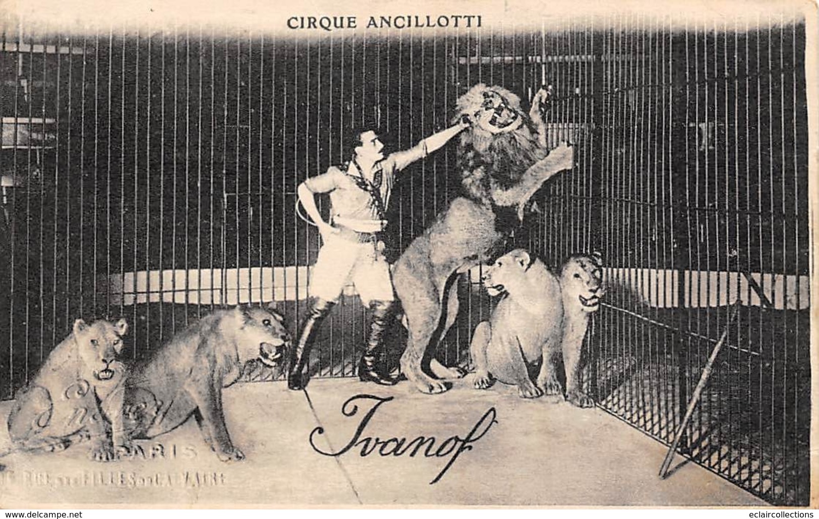 Thème:     Cirque.     Cirque Ancillotti   Le Dompteur Ivanof Et Ses Tigres        (Voir Scan) - Cirque