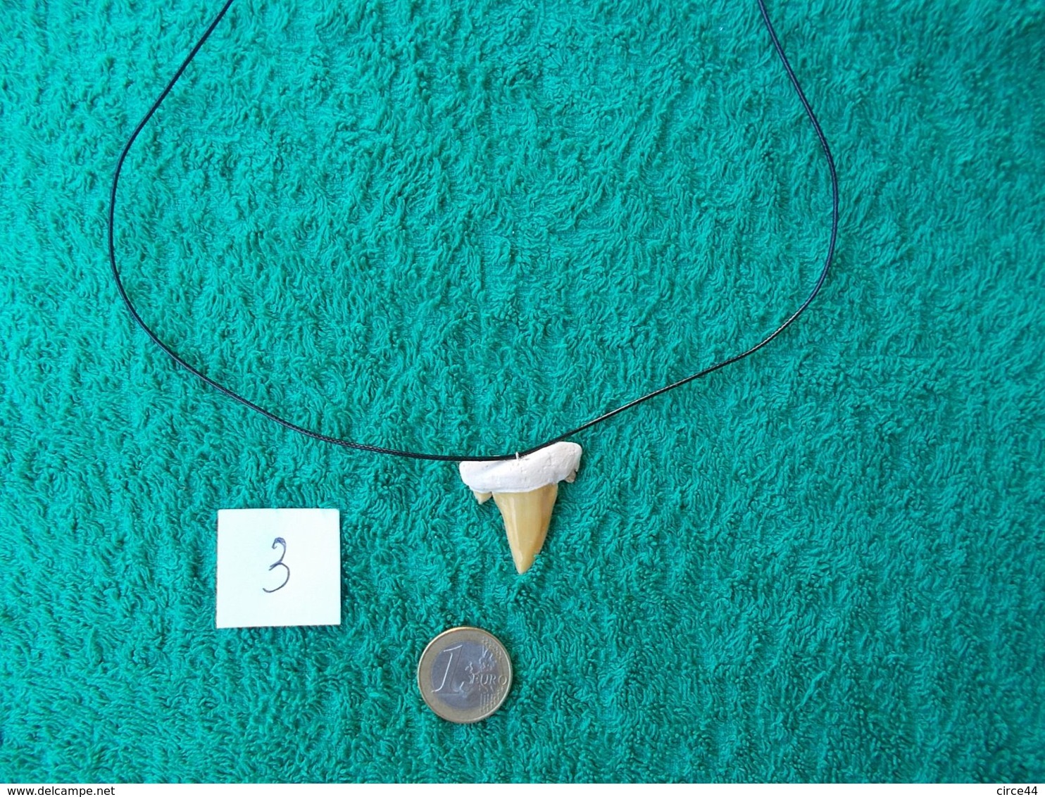 CADEAU  ORIGINAL.DENT DE REQUIN FOSSILE MONTEE EN PENDENTIF.LONGUEUR DU CORDON REGLABLE. - Fossils