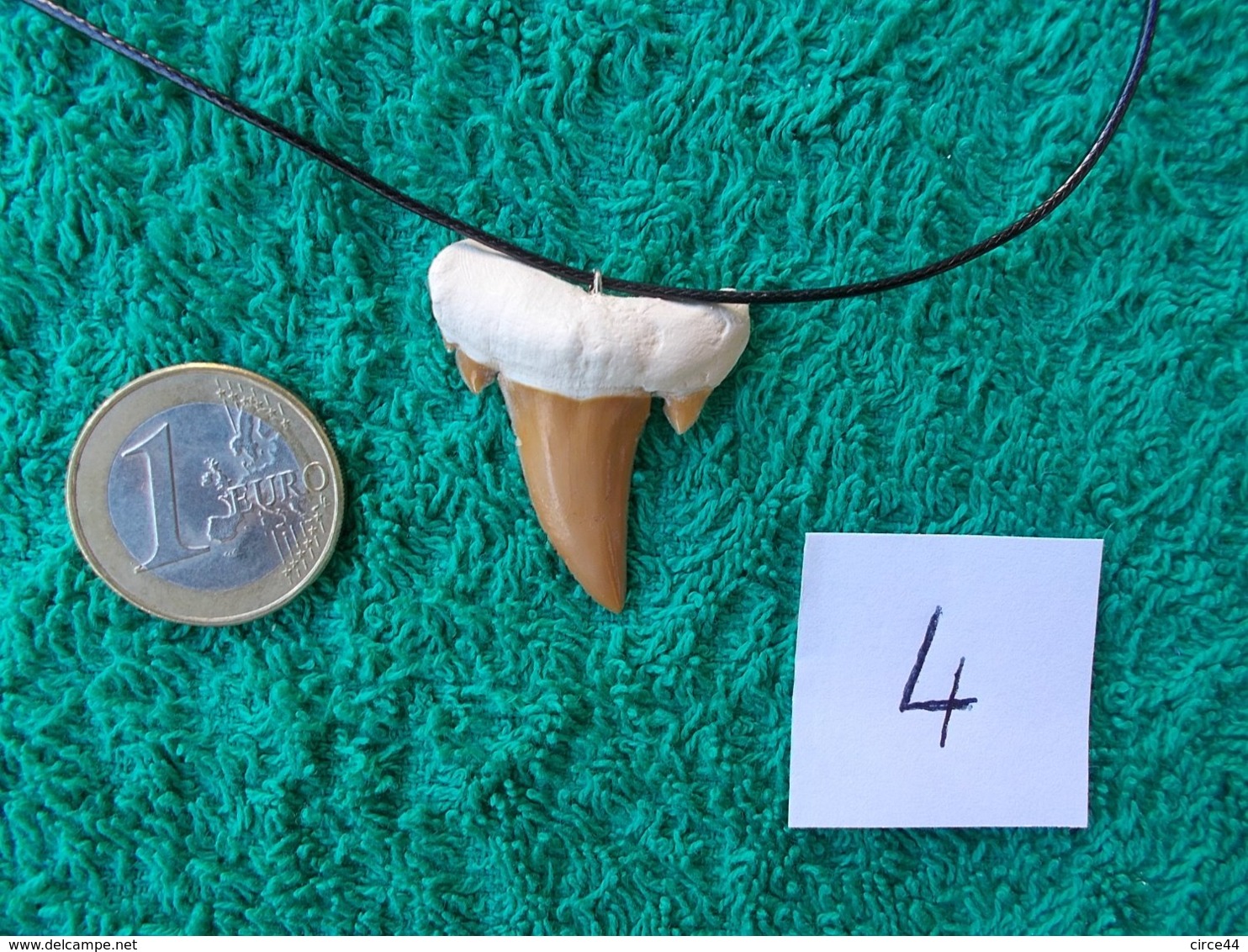 CADEAU  ORIGINAL.DENT DE REQUIN FOSSILE MONTEE EN PENDENTIF.LONGUEUR DU CORDON REGLABLE. - Fossils