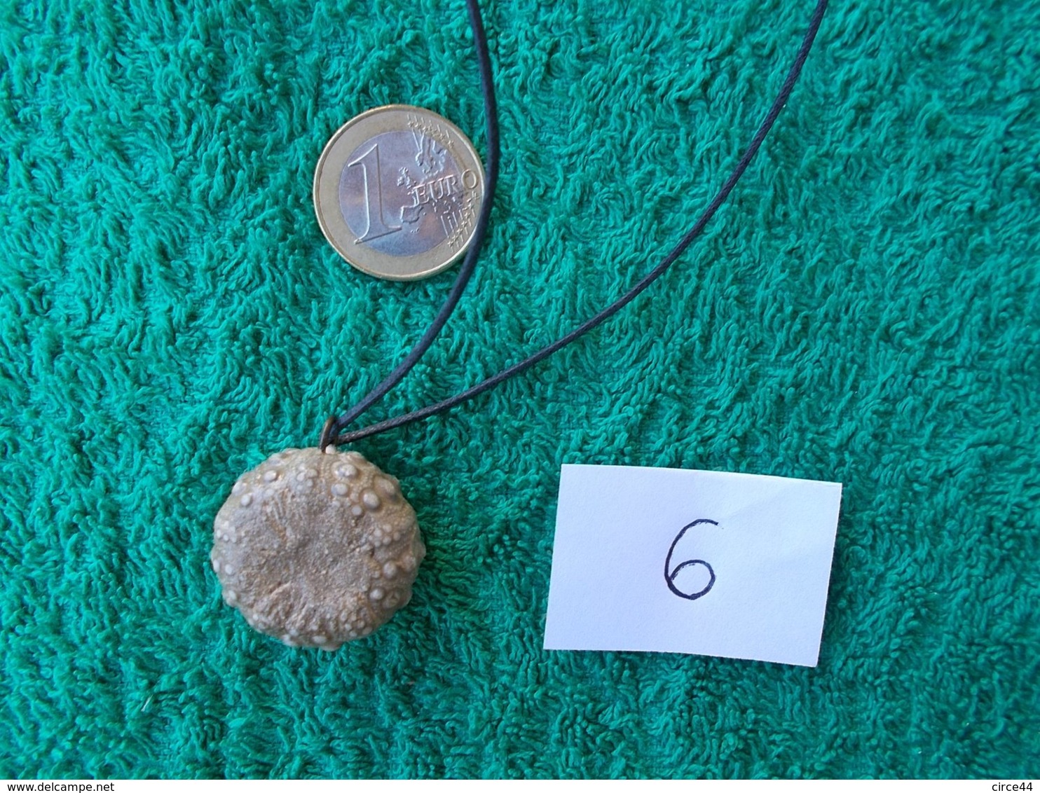 CADEAU  ORIGINAL.OURSIN FOSSILE MONTE EN PENDENTIF.LONGUEUR DU CORDON REGLABLE. - Fossilien