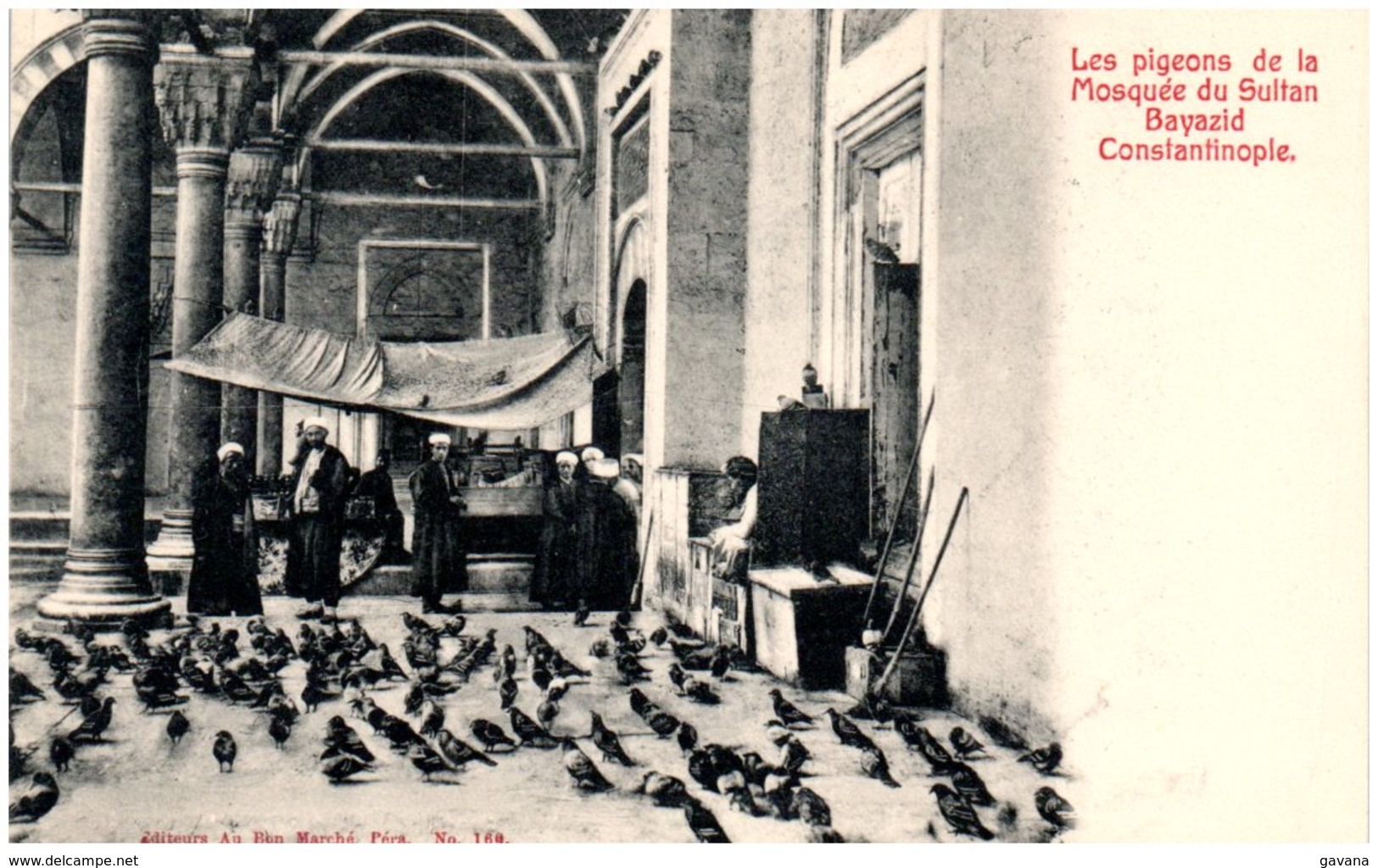 CONSTANTINOPLE - Les Pigeons De La Mosquée Du Sultan Bayazid - Turquie