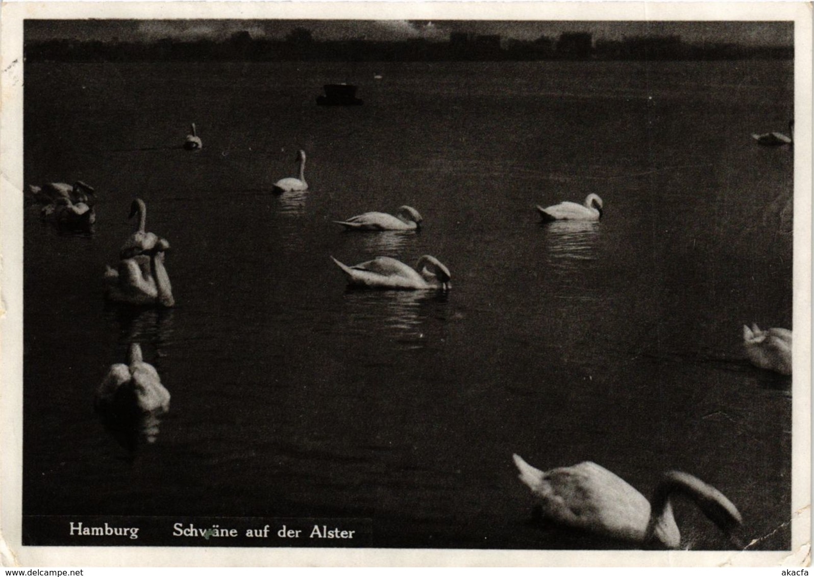 CPA AK Hamburg- Schwane Auf Der Alster GERMANY (902780) - Nord