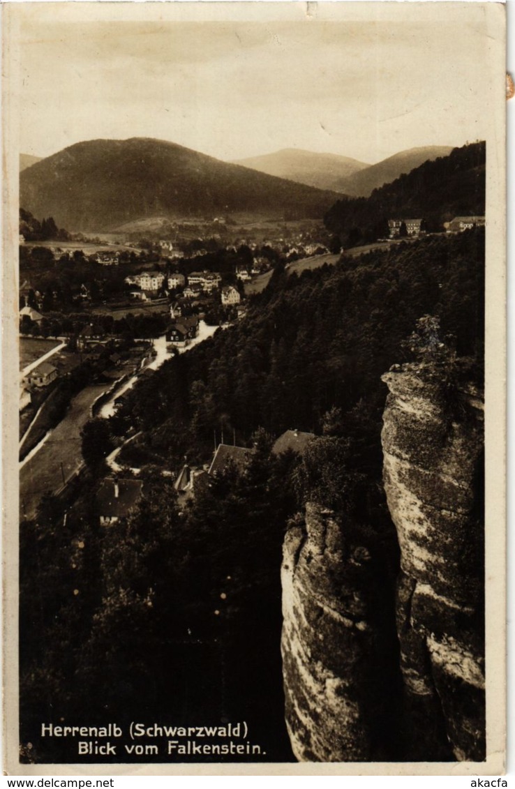 CPA AK Bad Herrenalb- Blick Vom Falkenstein GERMANY (903050) - Bad Herrenalb