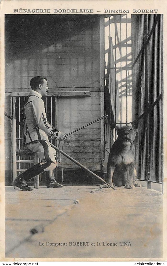 Thème:     Cirque.    Ménagerie Bordelaise  Dompteur Robert Et Sa Lionne Lina    (Voir Scan) - Zirkus