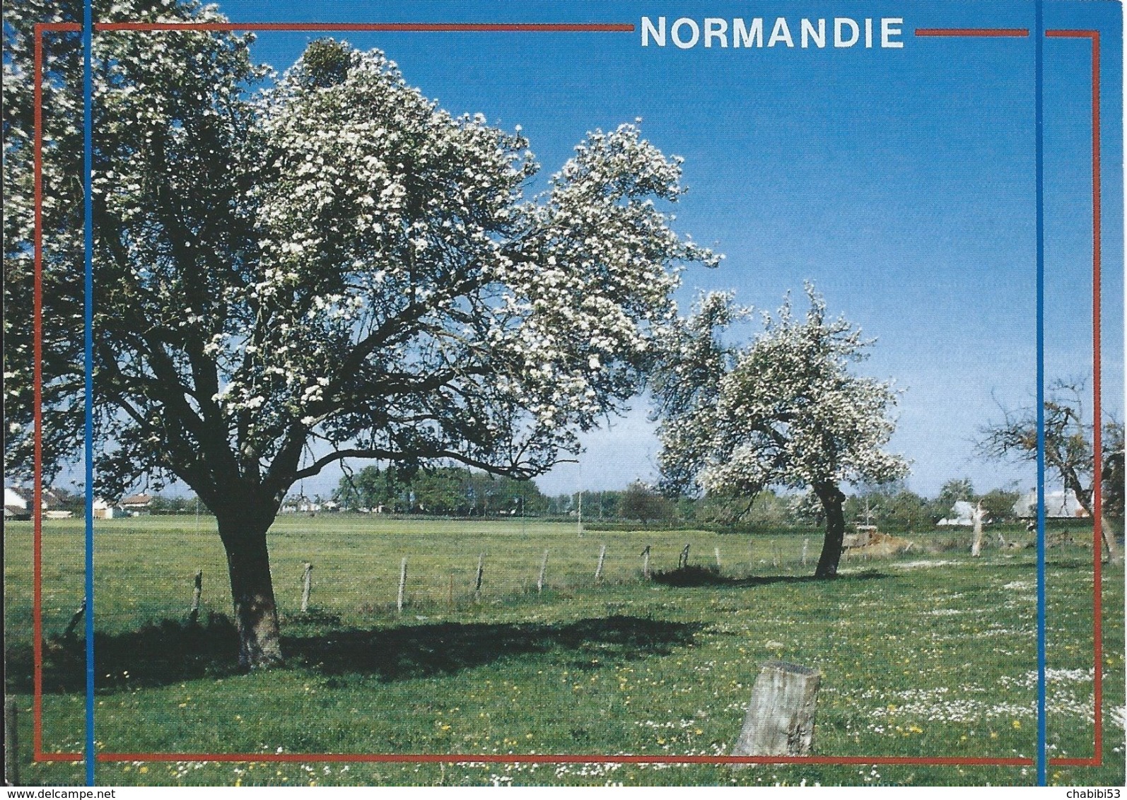 NORMANDIE - Les Pommiers En Fleurs - Haute-Normandie