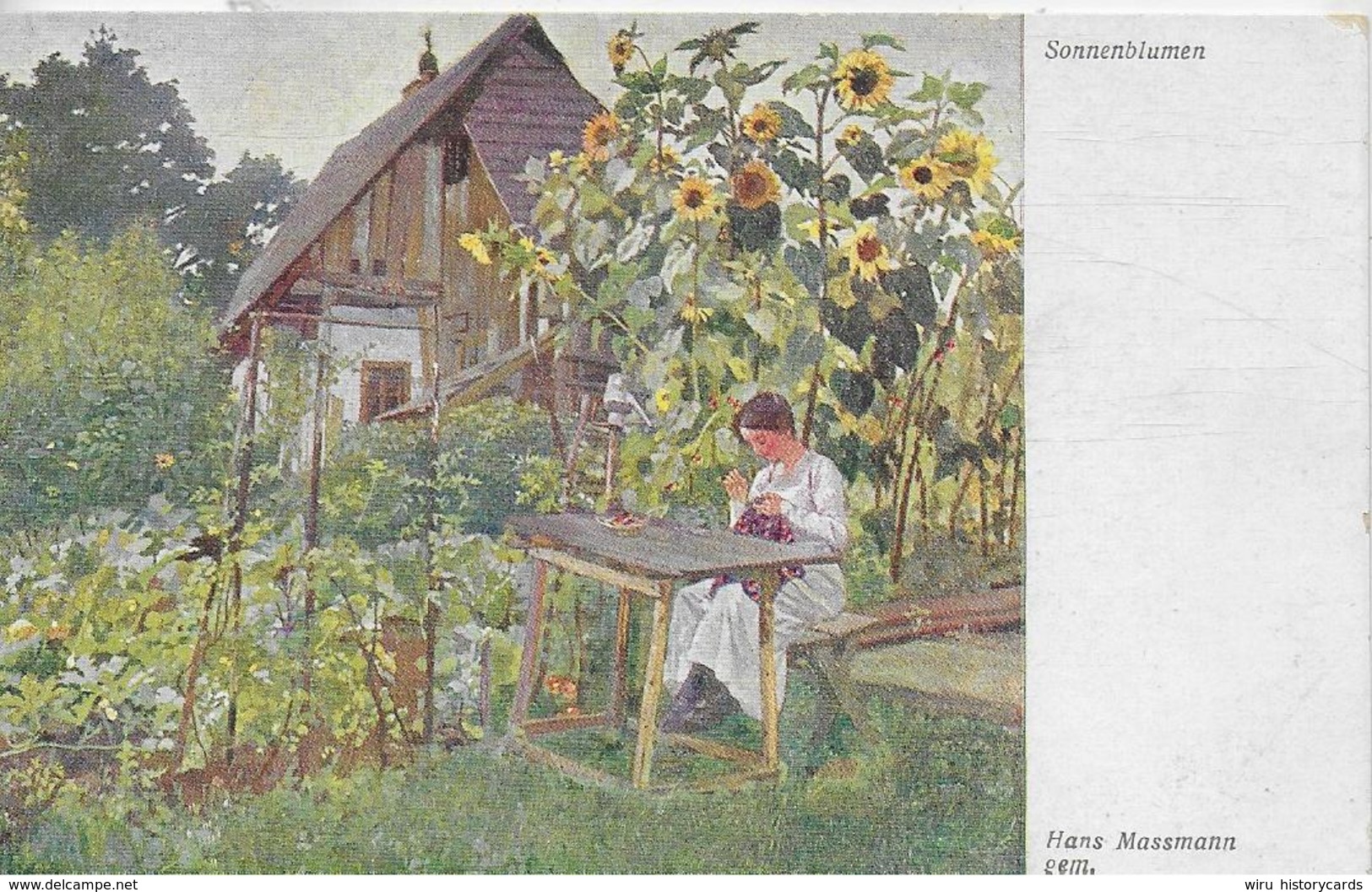 AK 0325  Massmann , Hans - Sonnenblumen / Künstlerkarte Um 1910-20 - Blumen