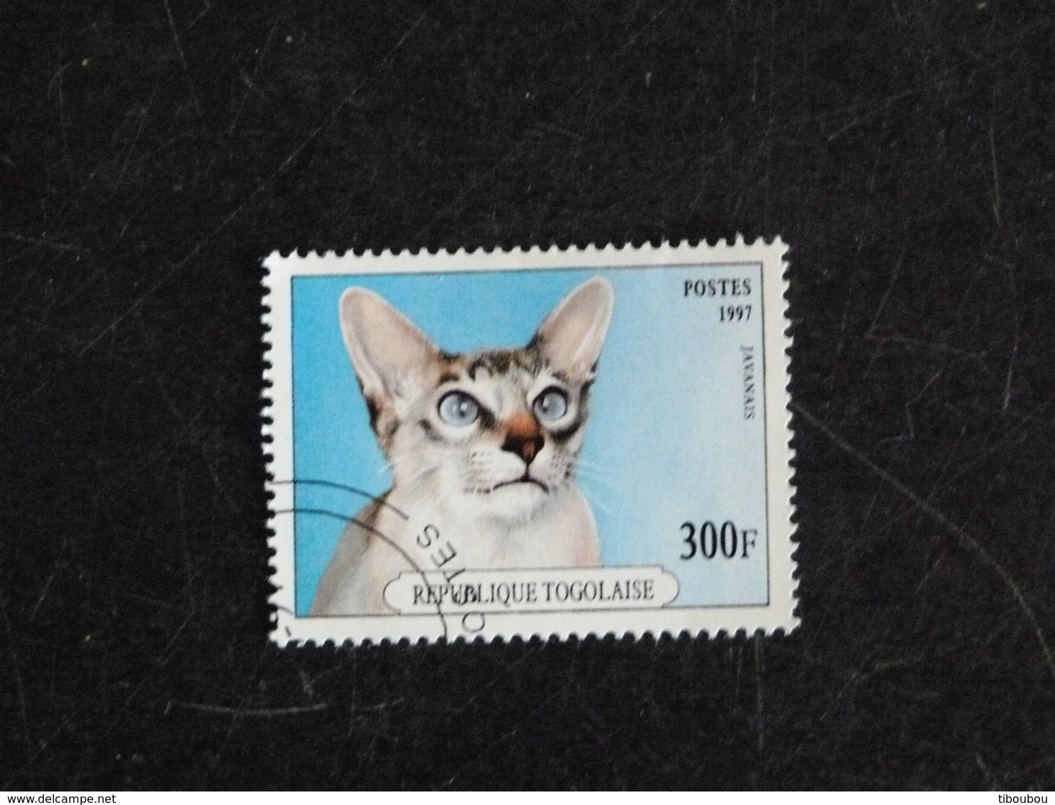TOGO YT 1558 OBLITERE - CHAT CAT KATZ - JAVANAIS - Togo (1960-...)