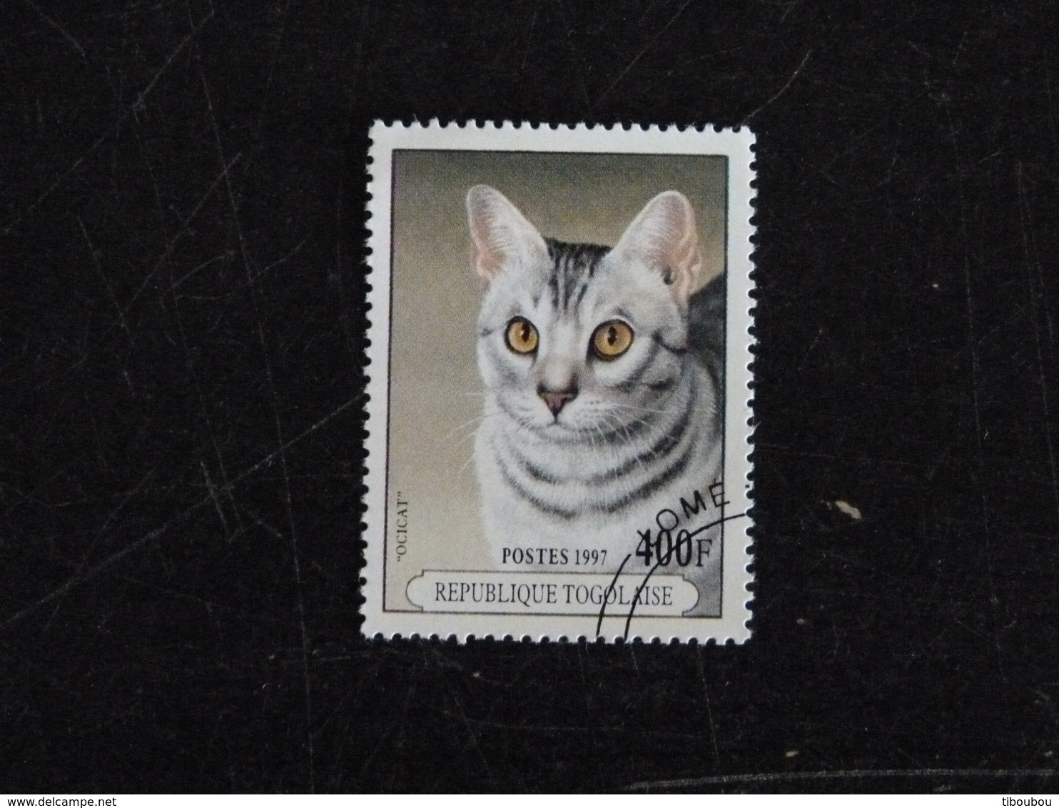 TOGO YT 1559 OBLITERE - CHAT CAT KATZ - OCICAT - Togo (1960-...)