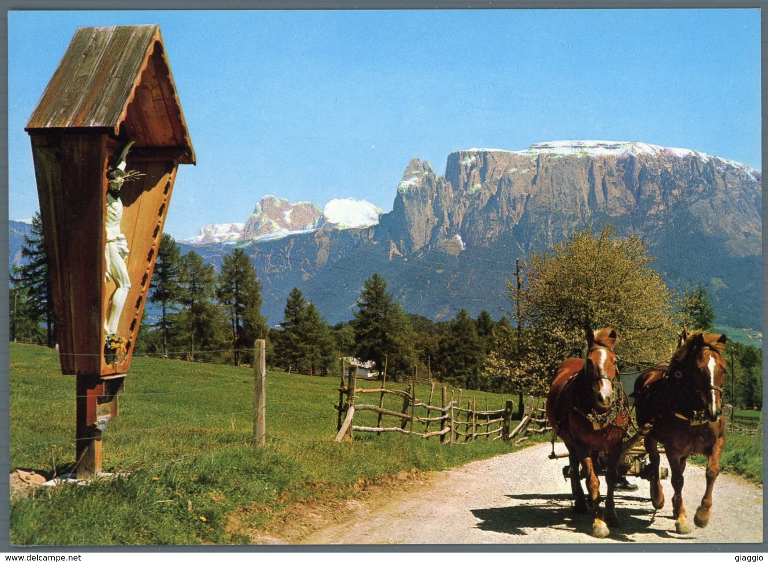 °°° Cartolina -  Le Dolomiti Viste Dal Renon Nuova °°° - Trento