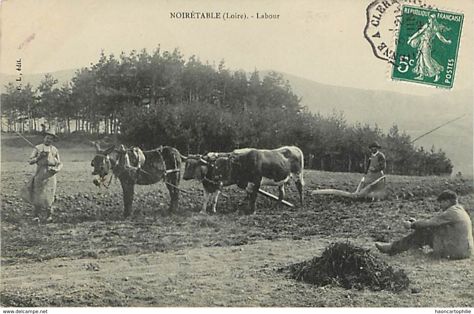 42 Noiretable  Labour  Agriculture Attelage Agraire - Noiretable