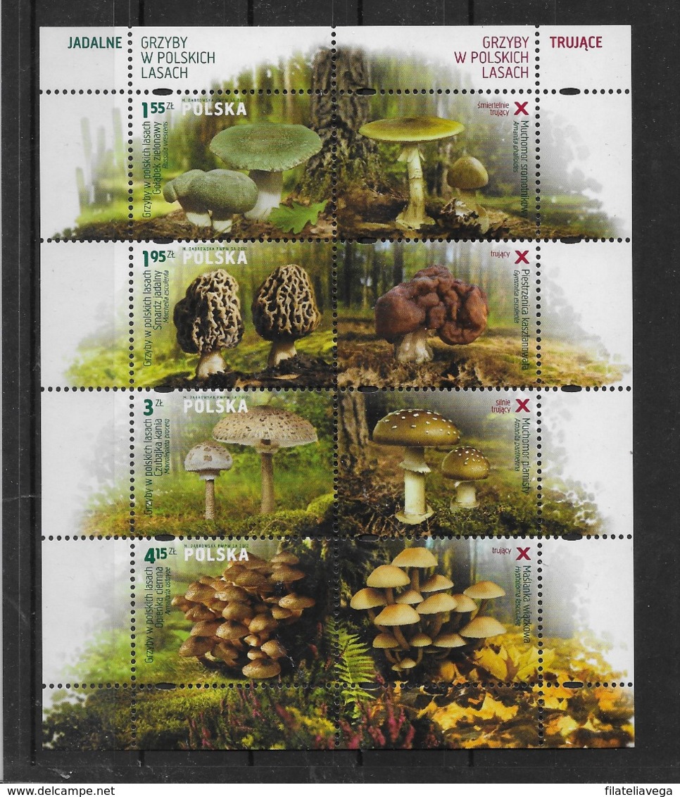 Serie De Polonia Nº Yvert 4286/90 ** SETAS (MUSHROOMS) - Ongebruikt