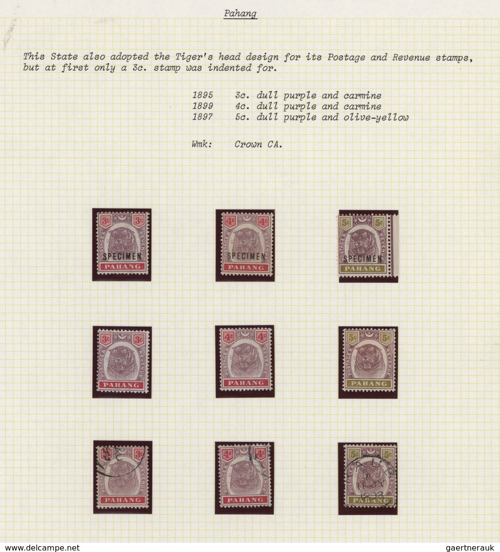 Malaiische Staaten - Pahang: 1891/1899, "Tiger" Issue, Specialised Collection Of Apprx. 67 Stamps In - Pahang