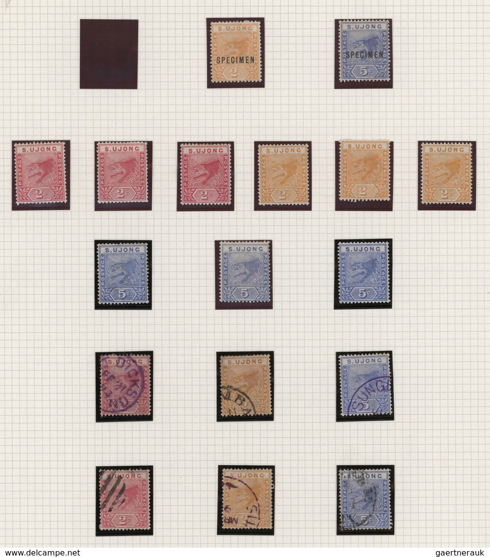 Malaiische Staaten - Sungei Ujong: 1891/1895, "Tiger" Issue, Specialised Collection Of 66 Stamps On - Autres & Non Classés