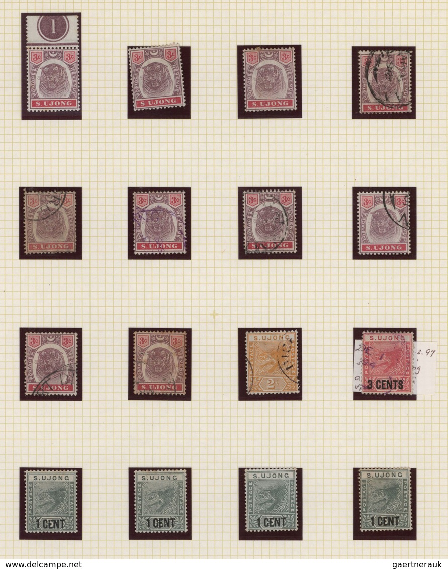 Malaiische Staaten - Sungei Ujong: 1891/1895, "Tiger" Issue, Specialised Collection Of 66 Stamps On - Sonstige & Ohne Zuordnung