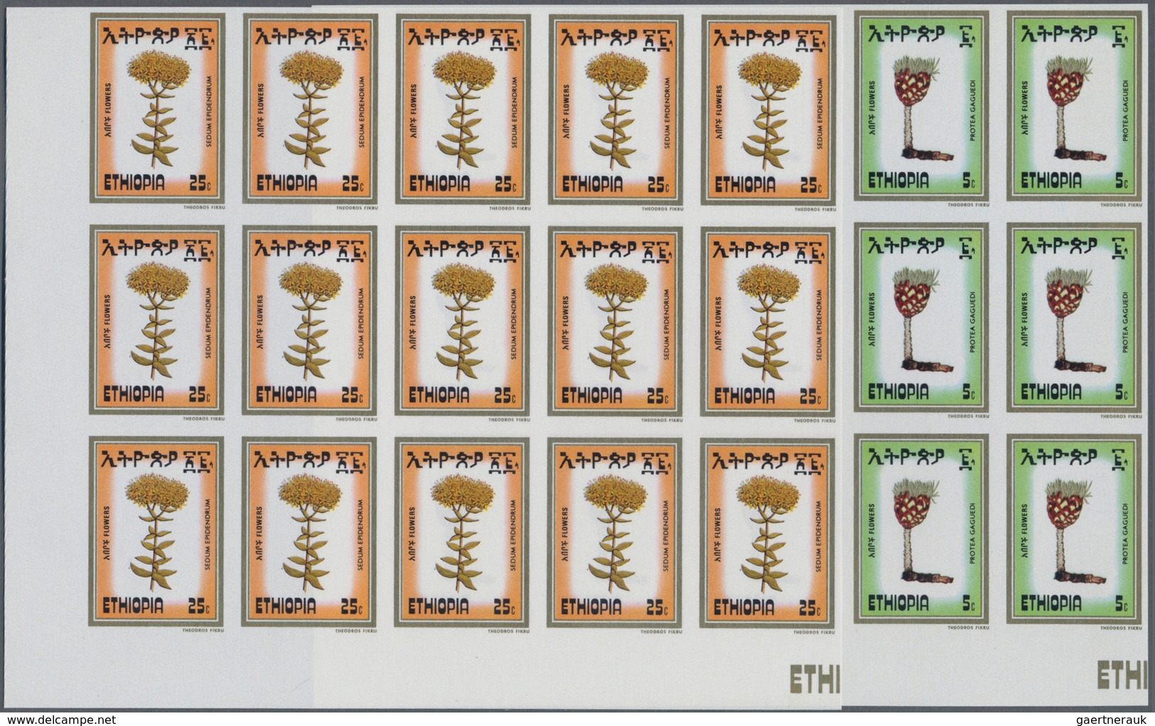 Thematik: Flora, Botanik / Flora, Botany, Bloom: 1984, Ethiopia. FLOWERS. Complete Set (4 Values) In - Autres & Non Classés