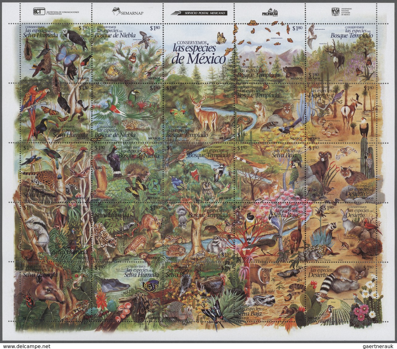 Thematik: Tiere- Exotische Tiere / Animals-exotic Animals: 1996, Mexico, Wild Animals, Set Of 24 In - Sonstige & Ohne Zuordnung