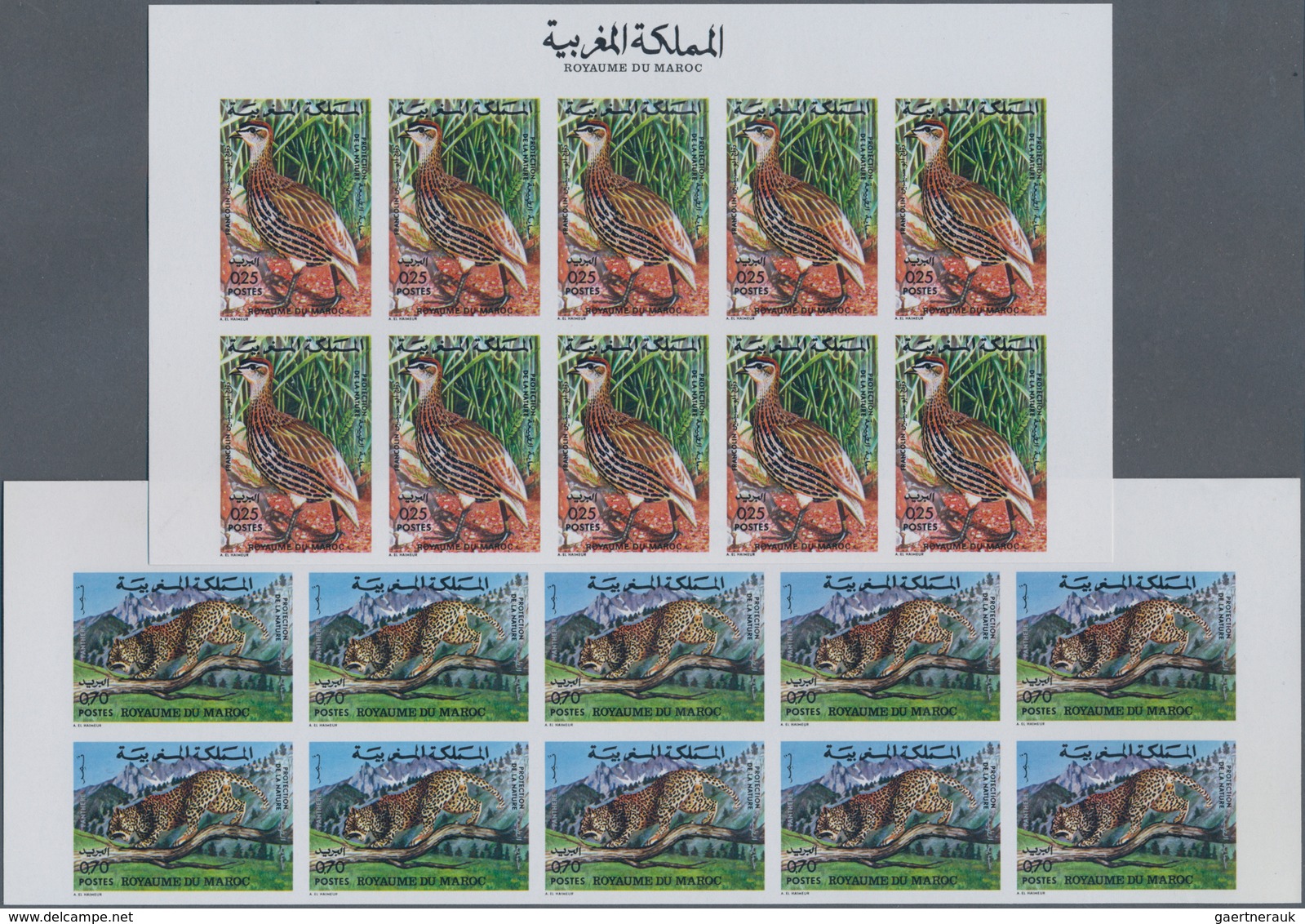 Thematik: Tiere, Fauna / Animals, Fauna: 1974, Morocco. Complete Set FAUNA (2 Values) In 2 IMPERFORA - Autres & Non Classés