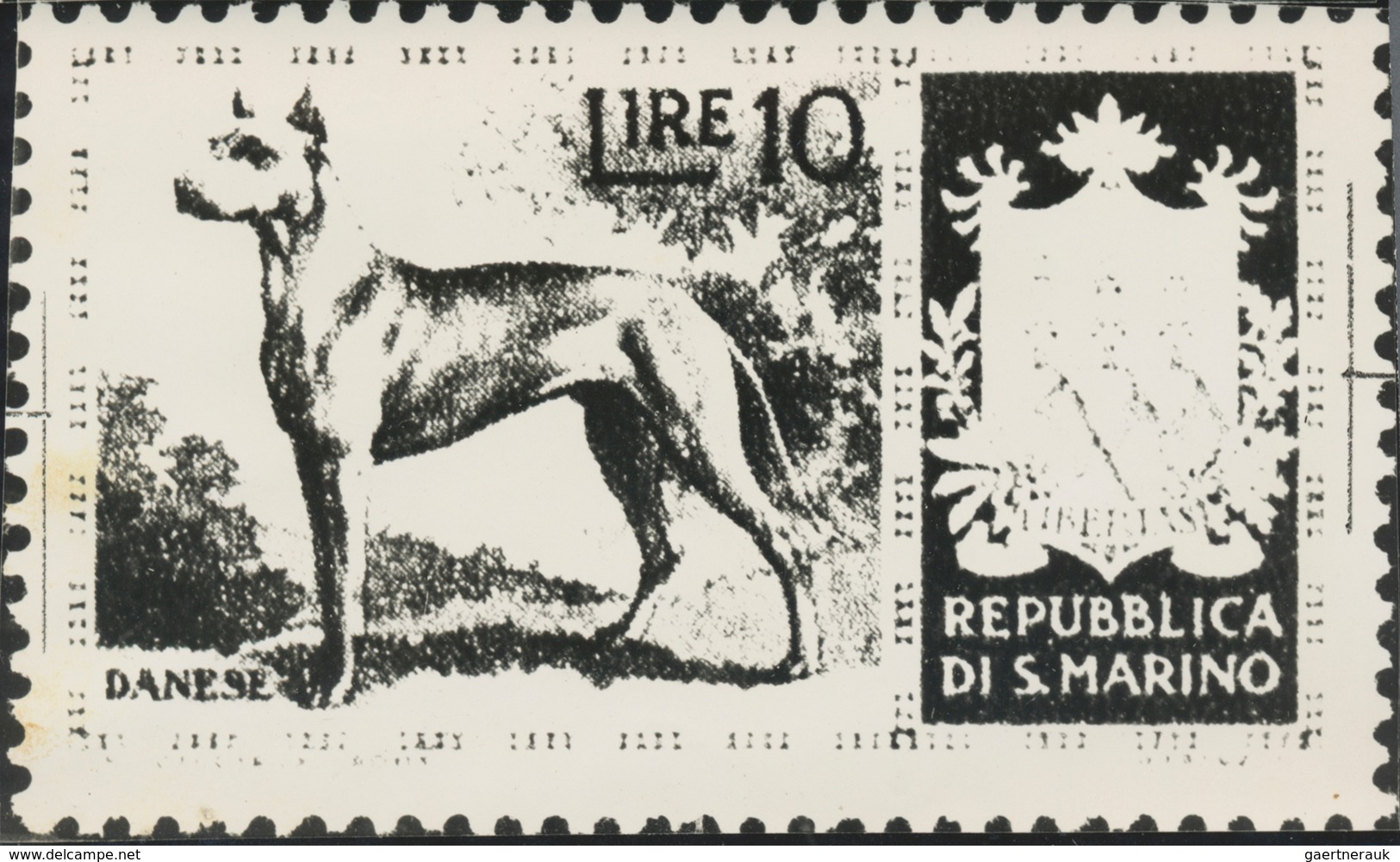 Thematik: Tiere-Hunde / Animals-dogs: 1956, San Marino, 10lire "Great Dane", Two Photographic B/w Es - Chiens