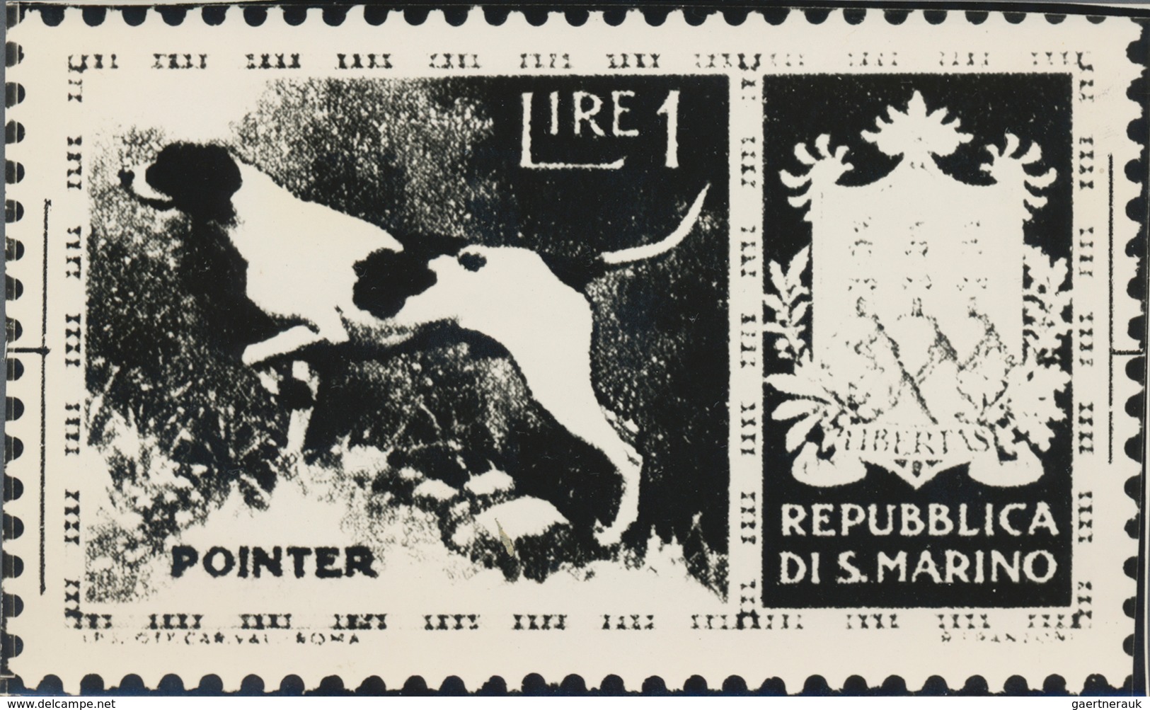 Thematik: Tiere-Hunde / Animals-dogs: 1956, San Marino, 1lire "Pointer", Two Photographic B/w Essays - Chiens