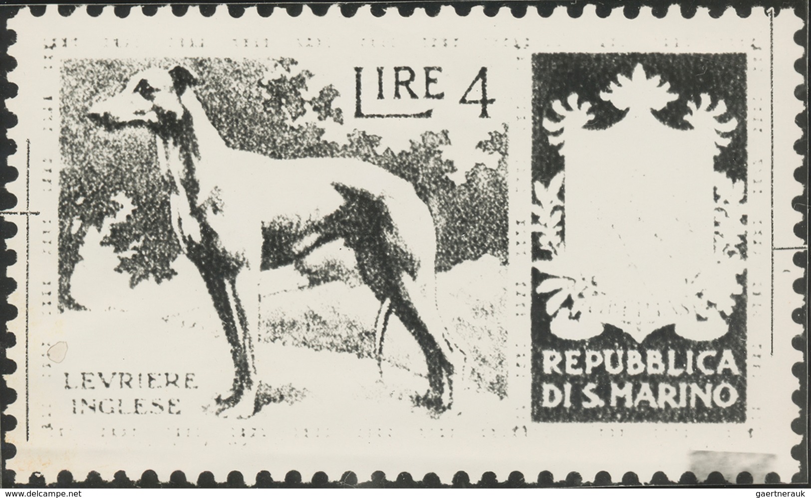 Thematik: Tiere-Hunde / Animals-dogs: 1956, San Marino, 4lire "English Greyhound", Two Photographic - Chiens