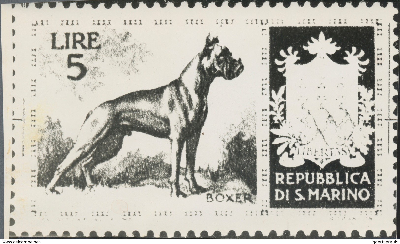 Thematik: Tiere-Hunde / Animals-dogs: 1956, San Marino, 5lire "Boxer", Two Photographic B/w Essays I - Honden