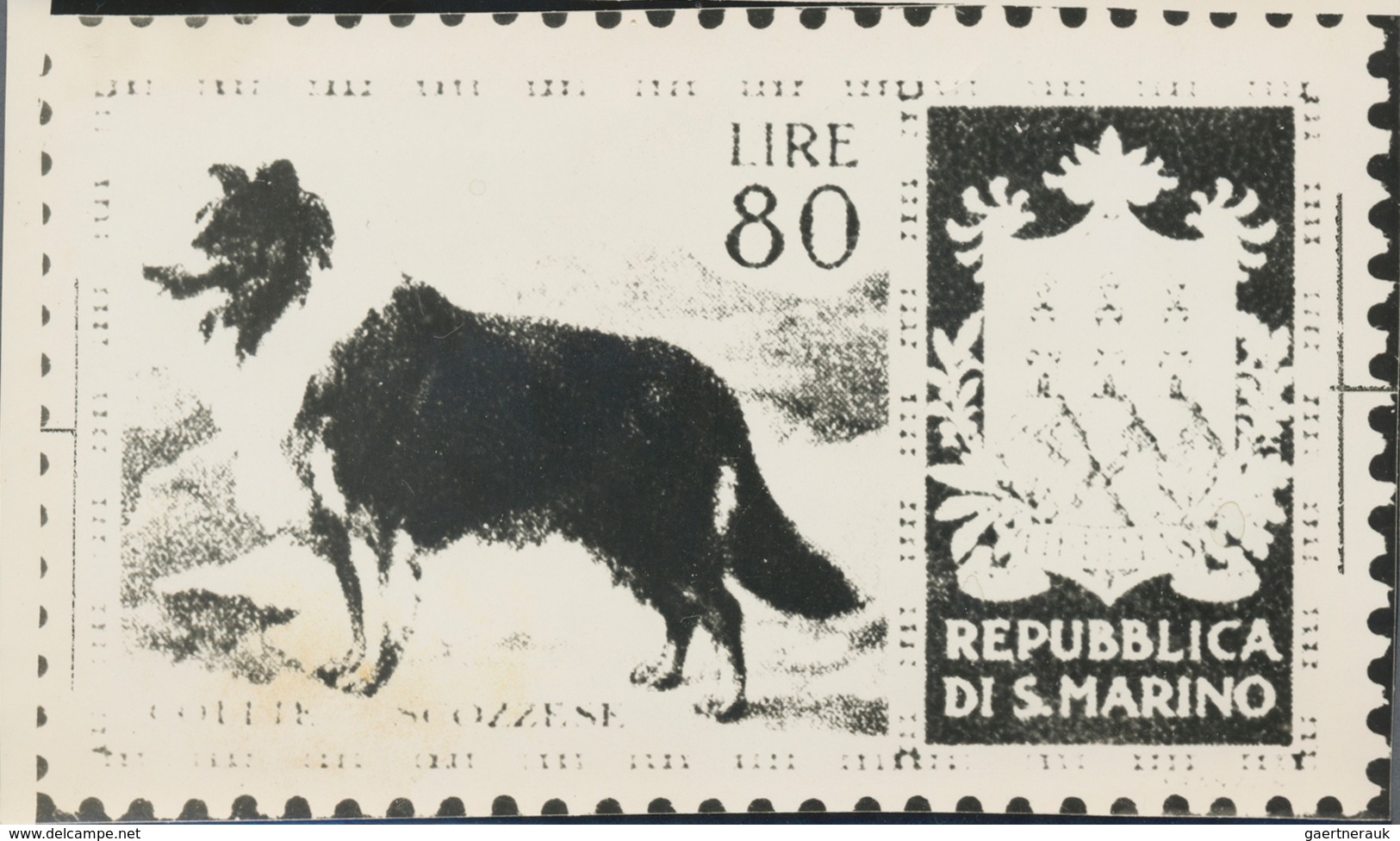 Thematik: Tiere-Hunde / Animals-dogs: 1956, San Marino, 80lire "Scotch Collie", Two Photographic B/w - Chiens