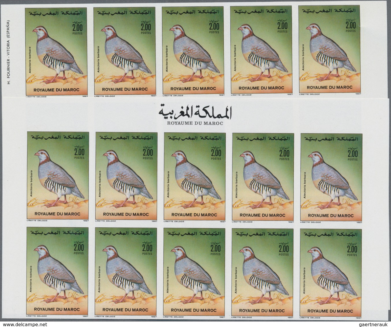 Thematik: Tiere-Vögel / Animals-birds: 1987, Morocco. Complete Set BIRDS (2 Values) In 2 IMPERFORATE - Autres & Non Classés