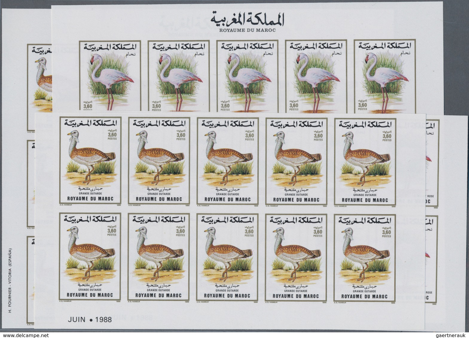 Thematik: Tiere-Vögel / Animals-birds: 1988, Morocco. Complete Set BIRDS (2 Values) In 2 IMPERFORATE - Altri & Non Classificati